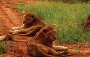 Kidepo National Park