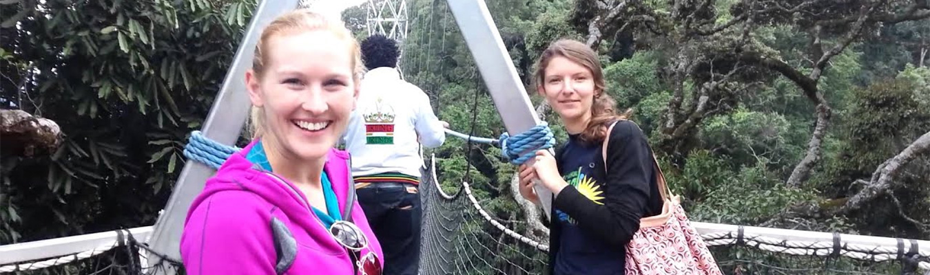 Nyungwe canopy