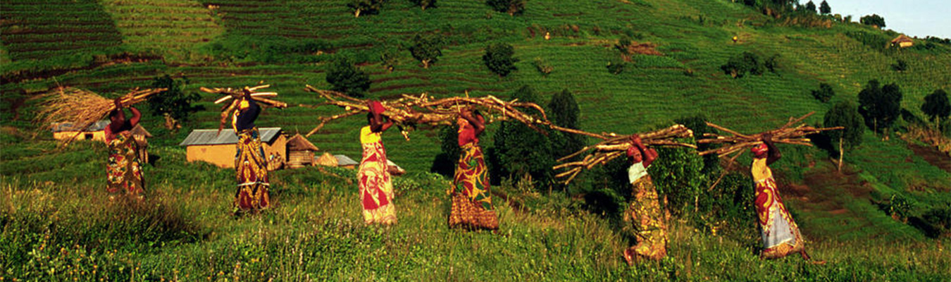 Virunga-National-Park